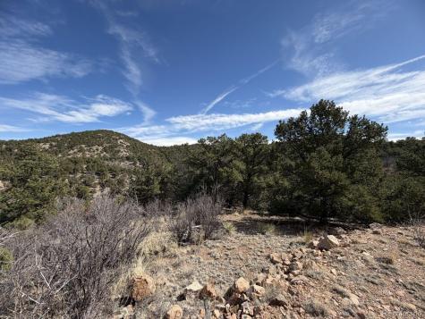 000 Redtail Trail Texas Creek CO 81223