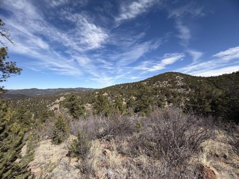 000 Redtail Trail Texas Creek CO 81223
