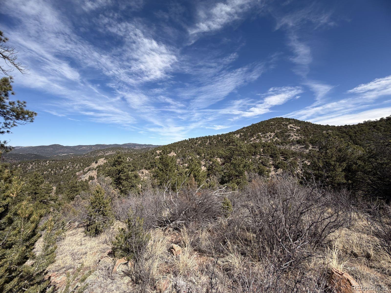 000 Redtail Trail Texas Creek CO 81223
