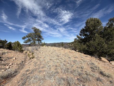 000 Redtail Trail Texas Creek CO 81223