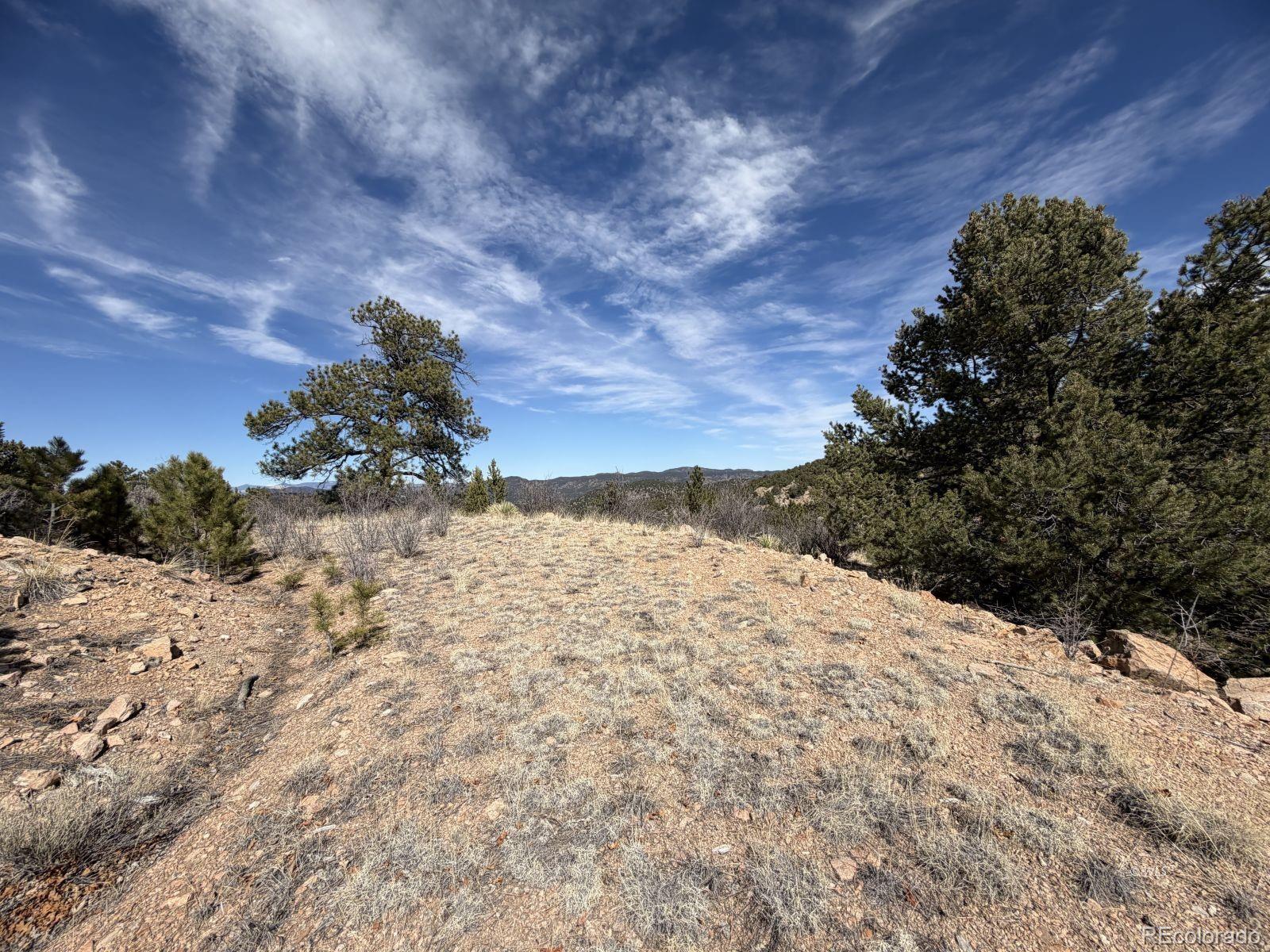 000 Redtail Trail Texas Creek CO 81223