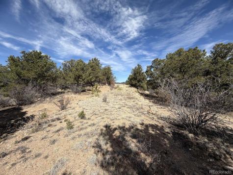 000 Redtail Trail Texas Creek CO 81223
