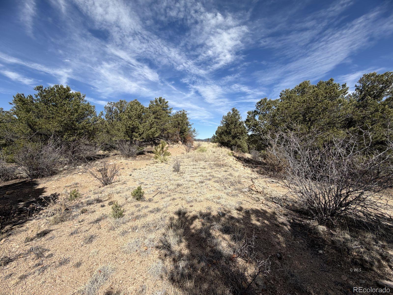 000 Redtail Trail Texas Creek CO 81223