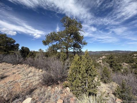 000 Redtail Trail Texas Creek CO 81223