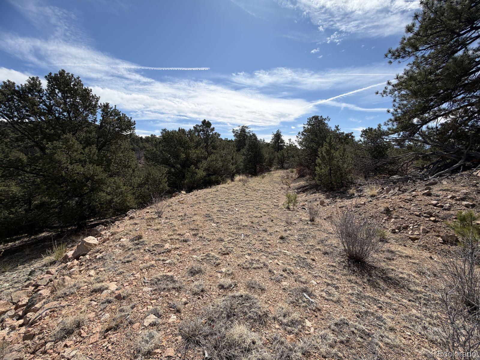 000 Redtail Trail Texas Creek CO 81223