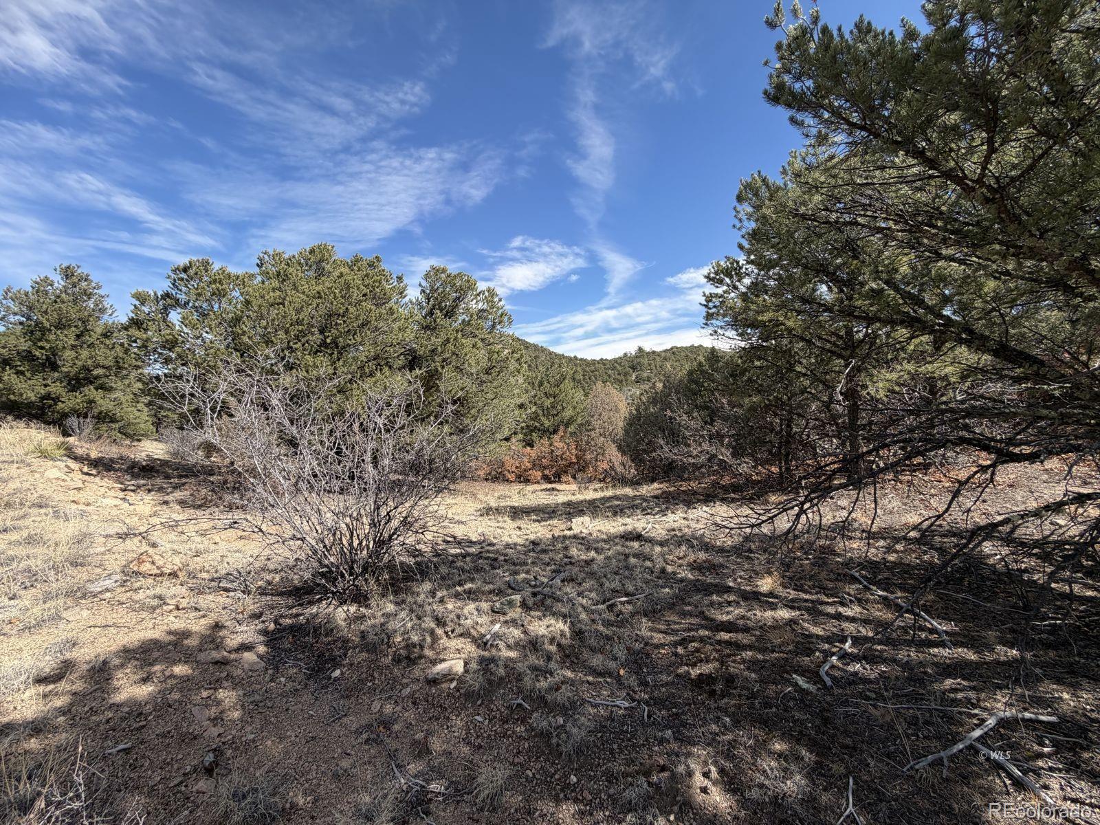 000 Redtail Trail Texas Creek CO 81223