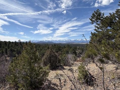 000 Redtail Trail Texas Creek CO 81223