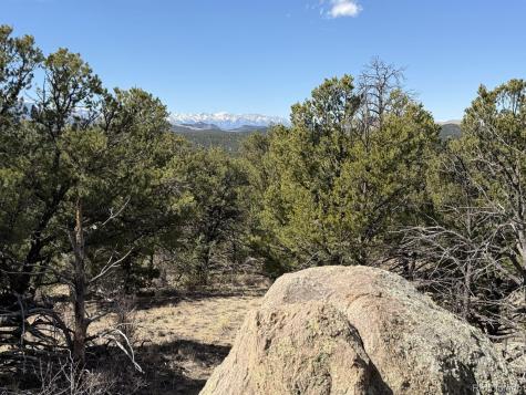 000 Redtail Trail Texas Creek CO 81223