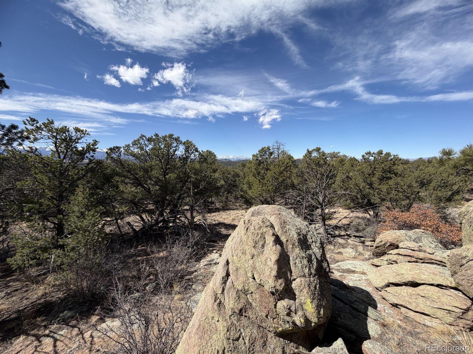 000 Redtail Trail Texas Creek CO 81223