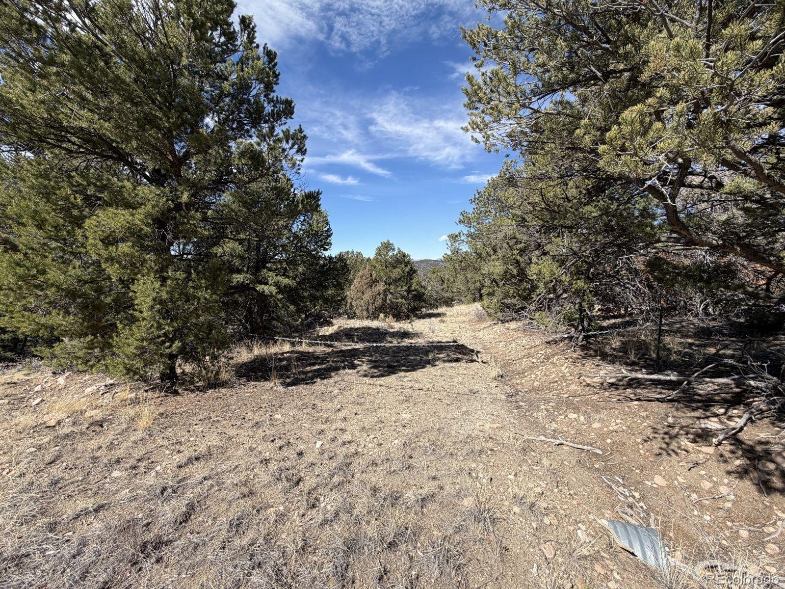 000 Redtail Trail Texas Creek CO 81223