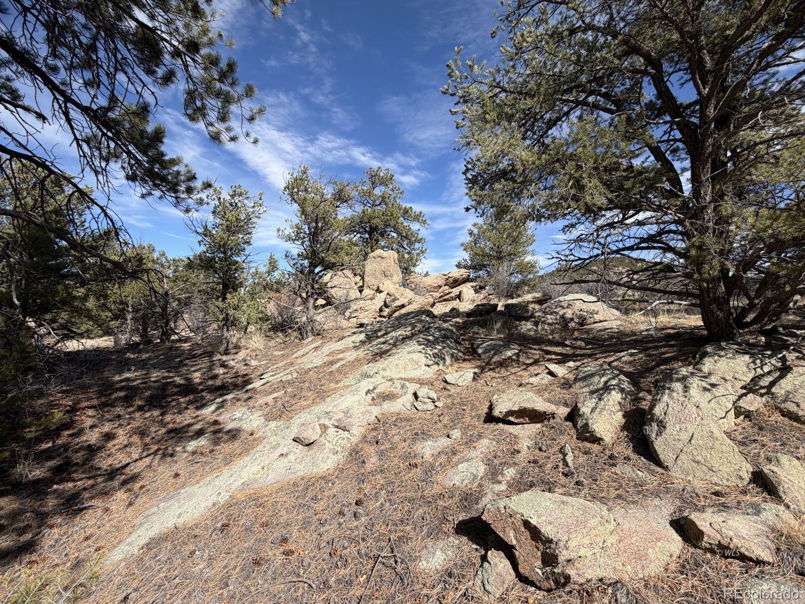 000 Redtail Trail Texas Creek CO 81223