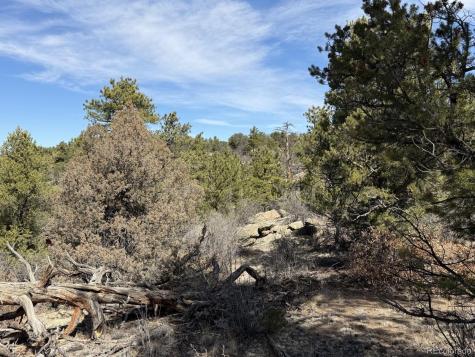000 Redtail Trail Texas Creek CO 81223