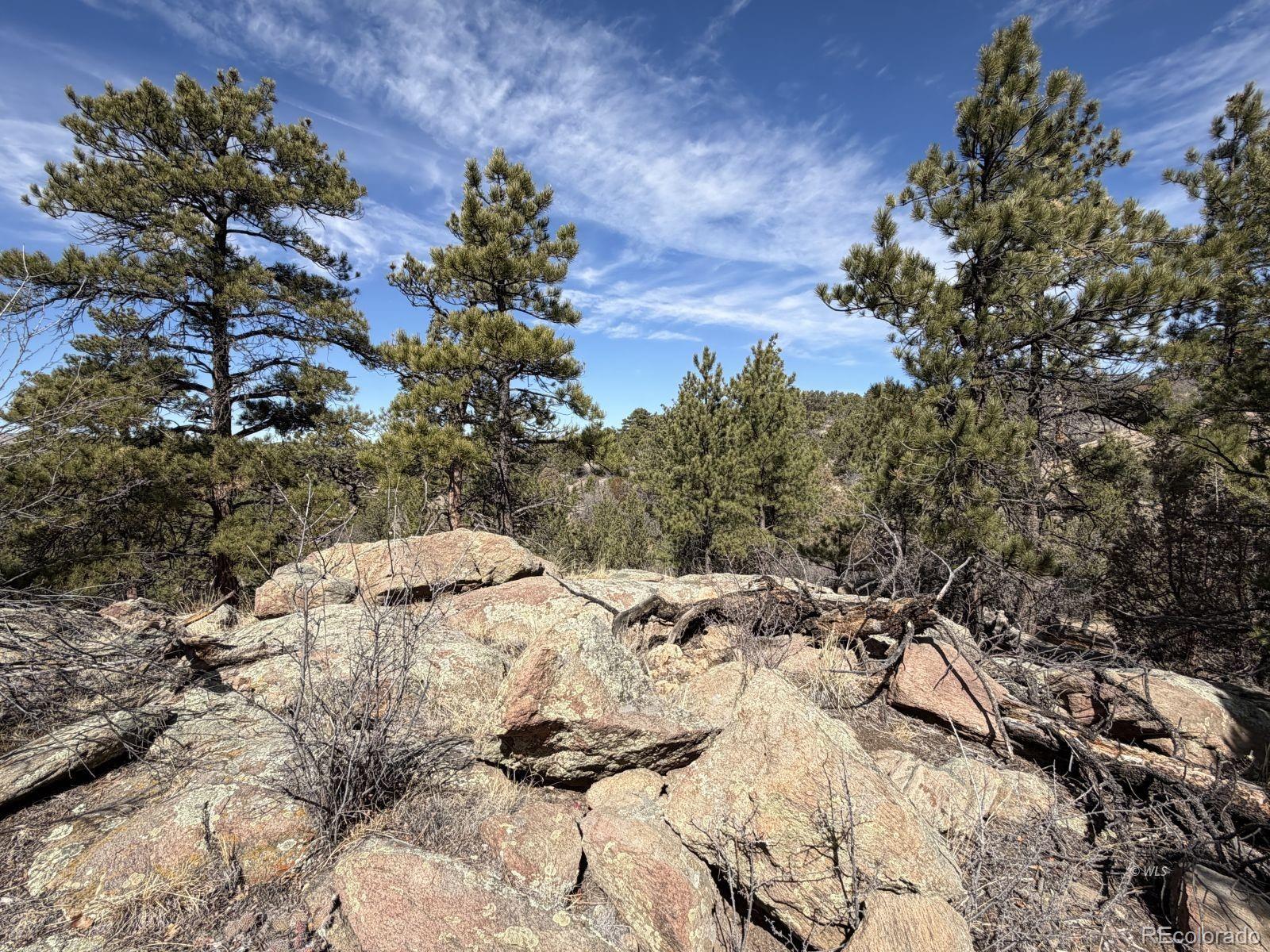 000 Redtail Trail Texas Creek CO 81223