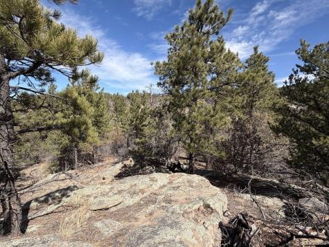000 Redtail Trail Texas Creek CO 81223