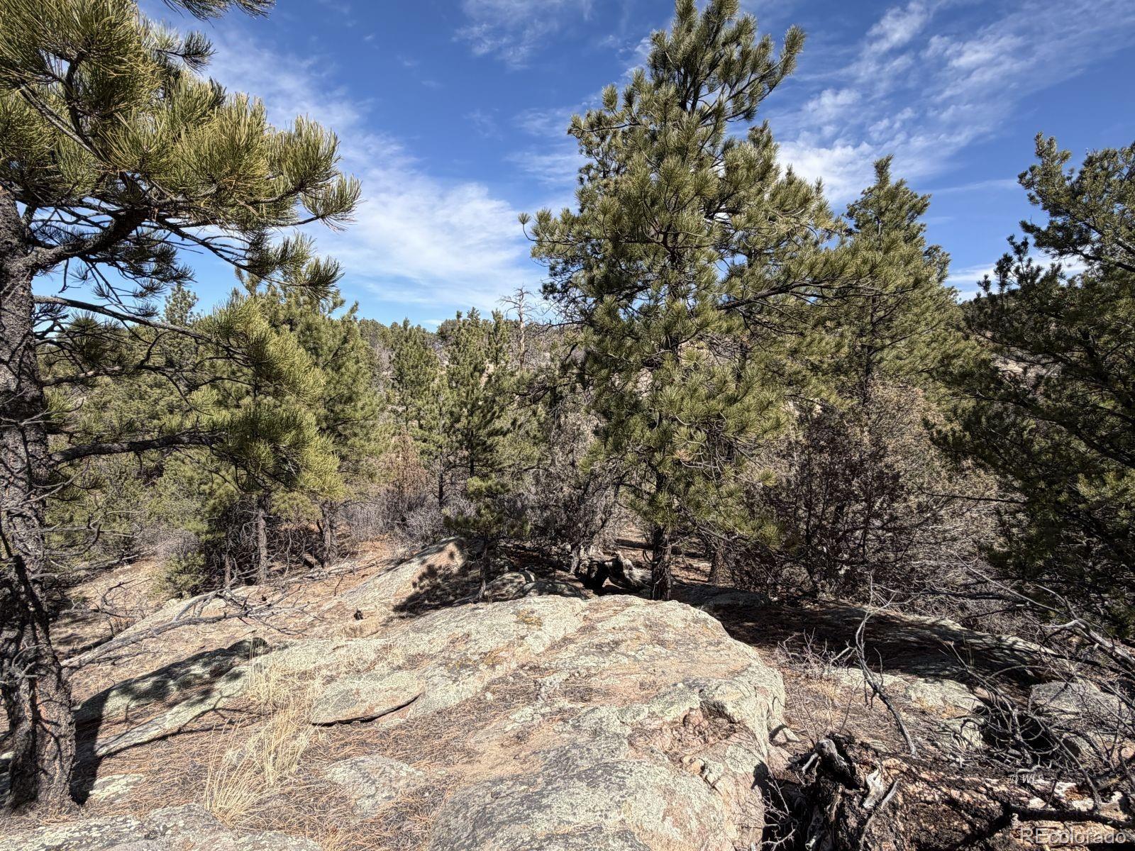 000 Redtail Trail Texas Creek CO 81223