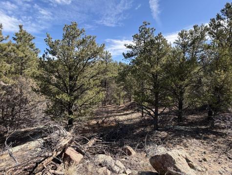 000 Redtail Trail Texas Creek CO 81223