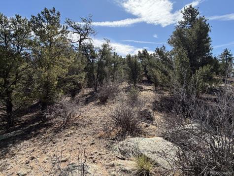 000 Redtail Trail Texas Creek CO 81223