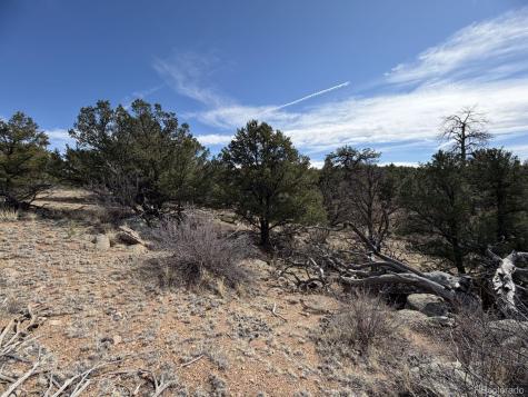 000 Redtail Trail Texas Creek CO 81223