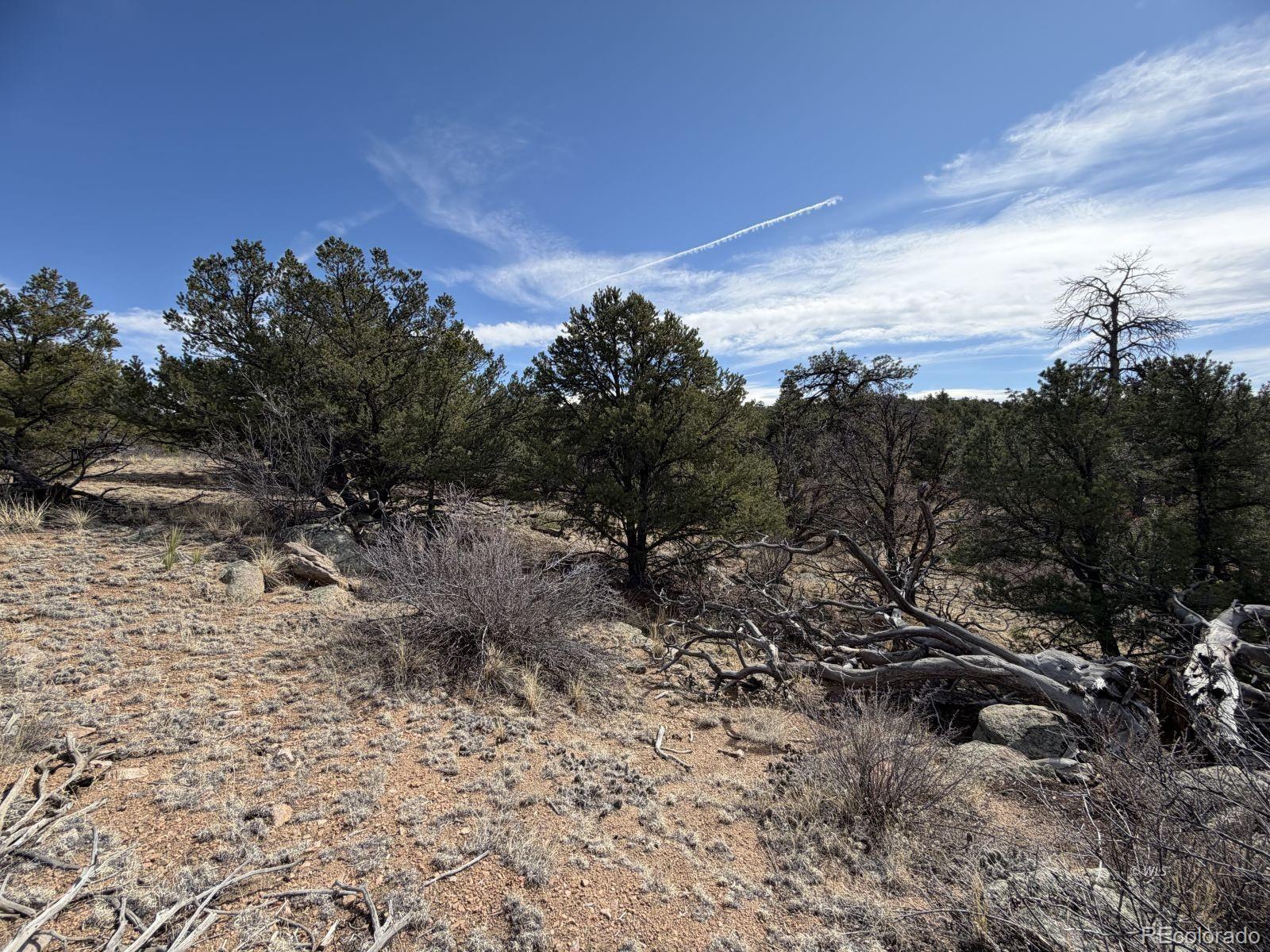 000 Redtail Trail Texas Creek CO 81223