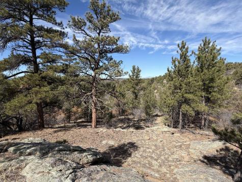 000 Redtail Trail Texas Creek CO 81223