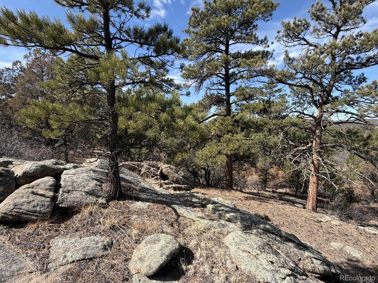 000 Redtail Trail Texas Creek CO 81223