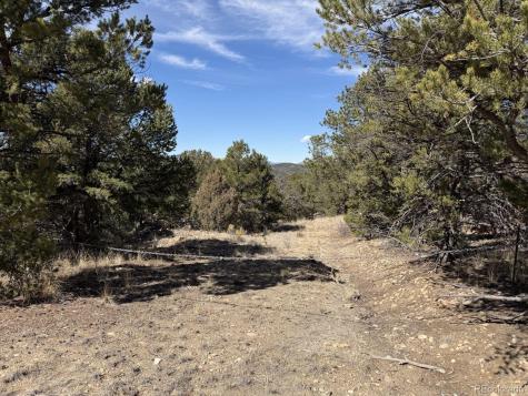 000 Redtail Trail Texas Creek CO 81223