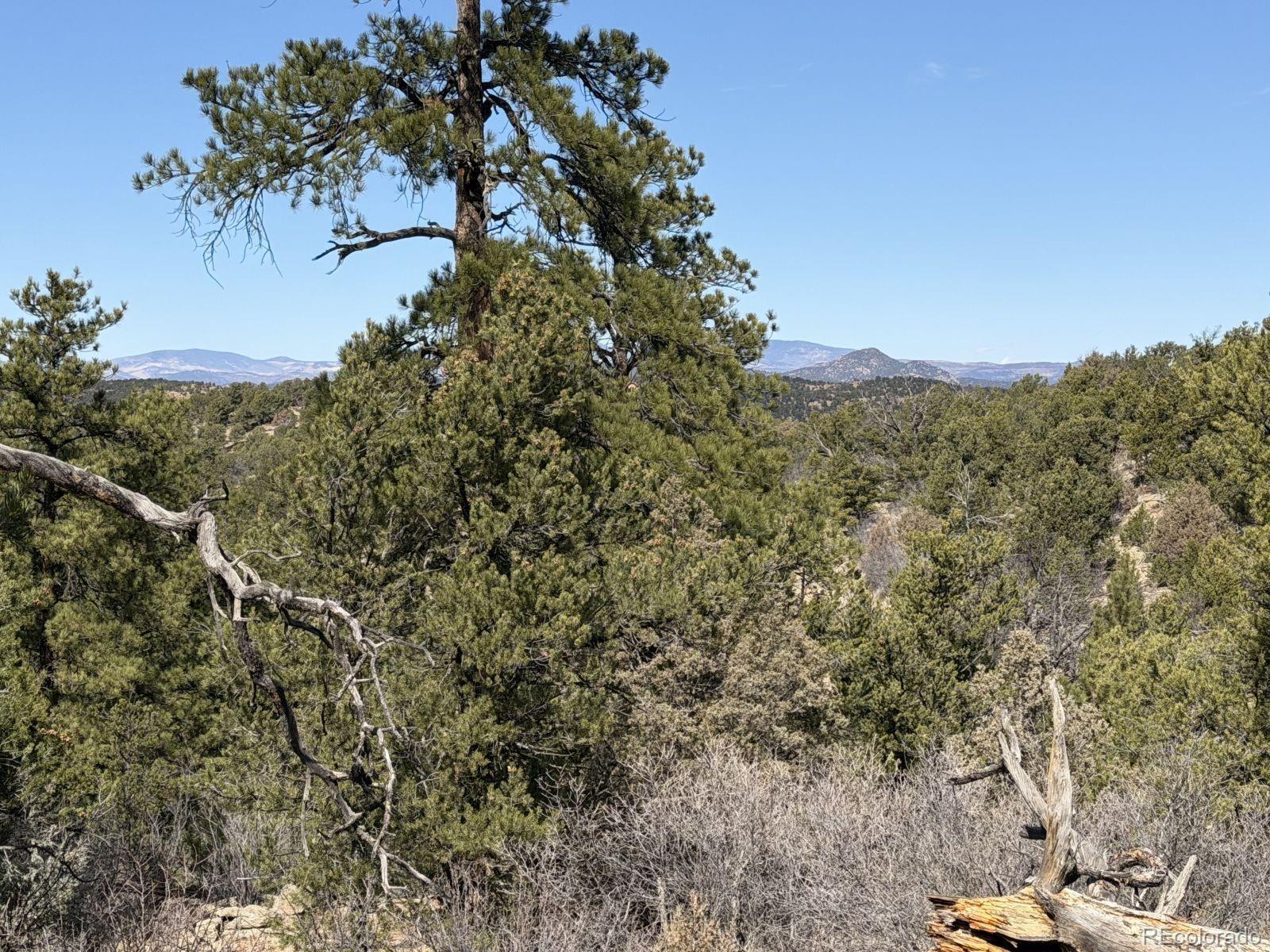 000 Redtail Trail Texas Creek CO 81223
