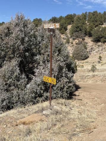 000 Redtail Trail Texas Creek CO 81223