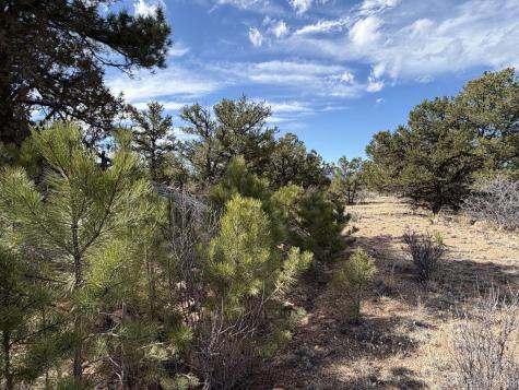 000 Redtail Trail Texas Creek CO 81223