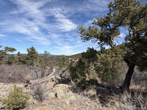 000 Redtail Trail Texas Creek CO 81223