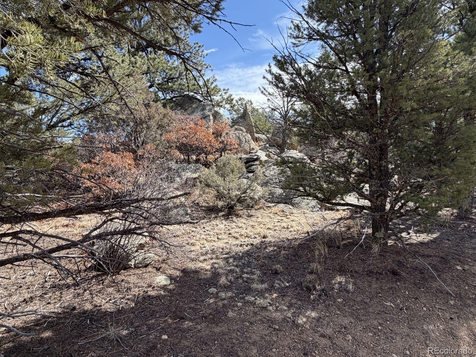 000 Redtail Trail Texas Creek CO 81223
