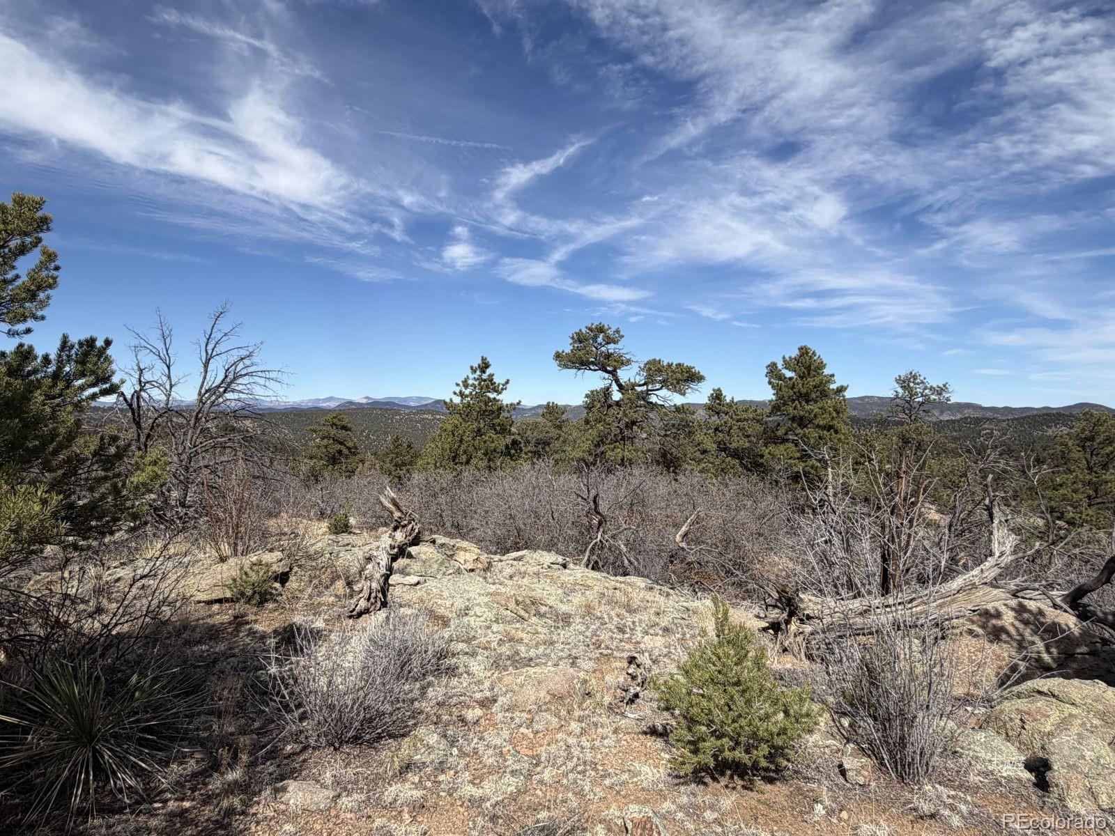000 Redtail Trail Texas Creek CO 81223