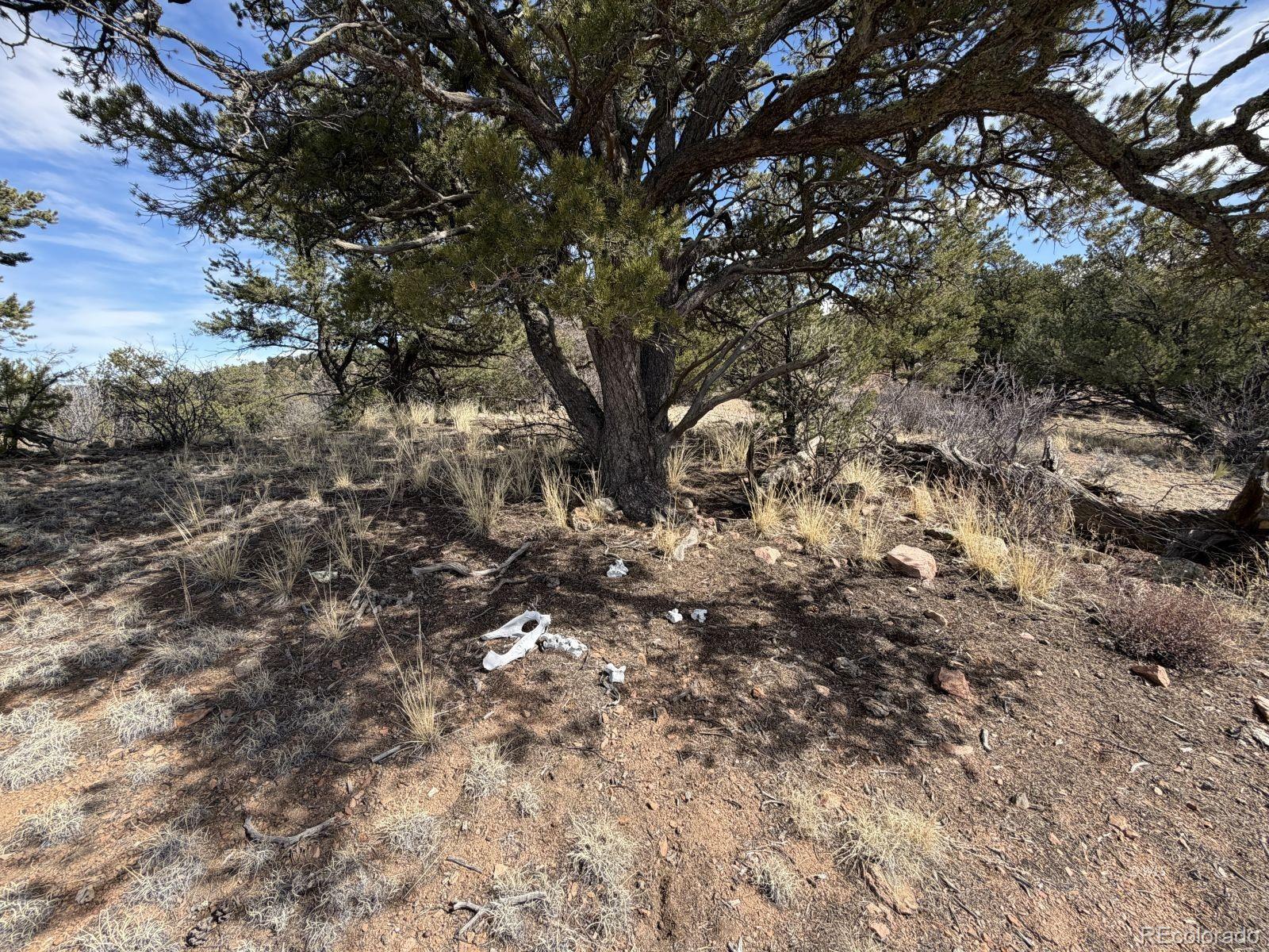 000 Redtail Trail Texas Creek CO 81223