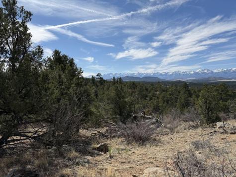 000 Redtail Trail Texas Creek CO 81223