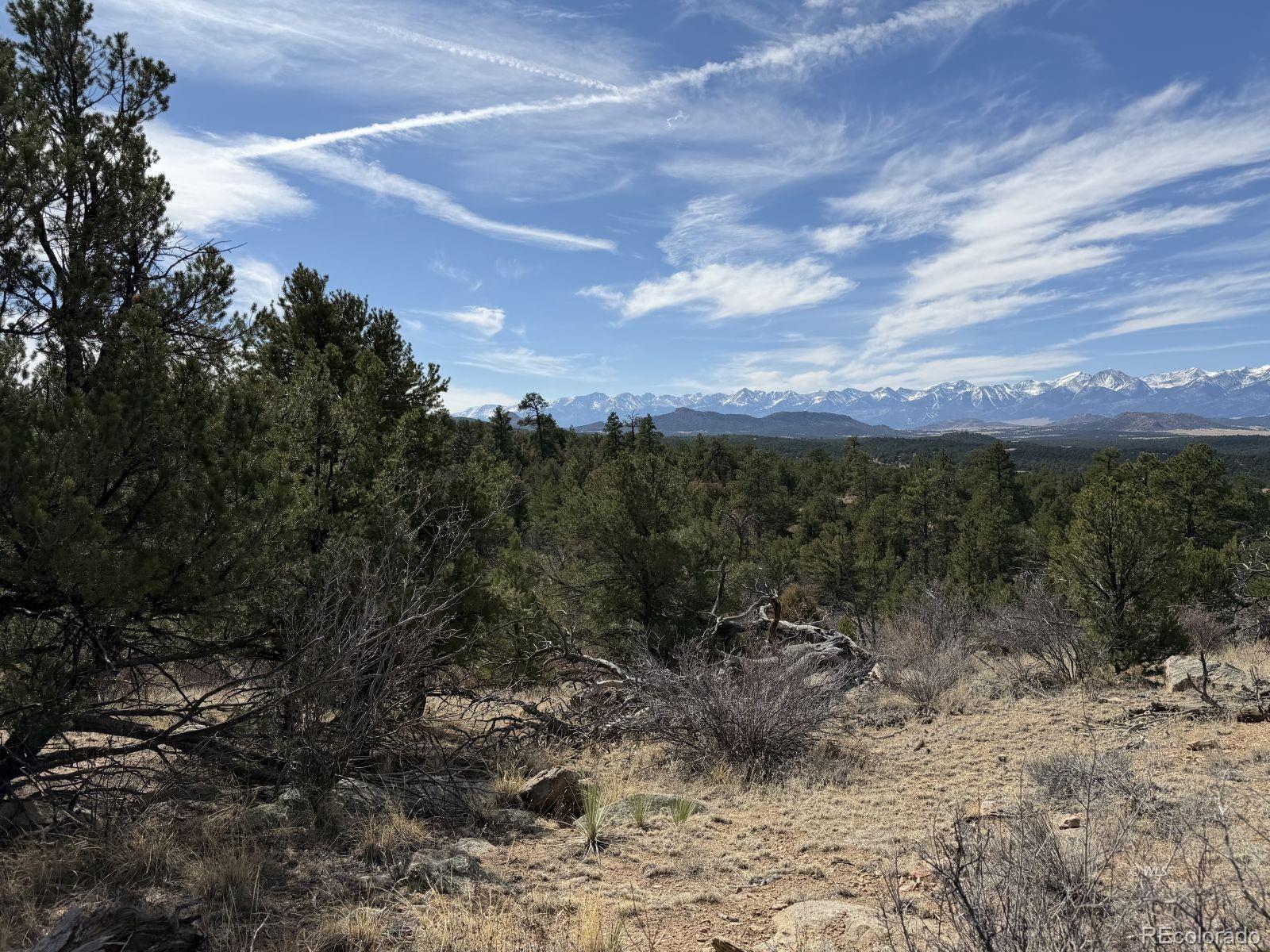 000 Redtail Trail Texas Creek CO 81223