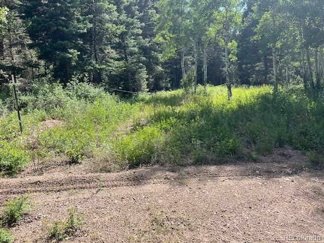 Lot 5757 Balleroy Road San Luis CO 81152