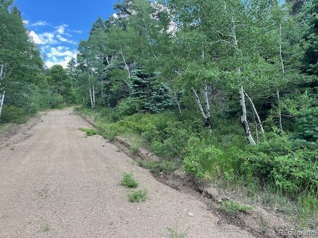 Lot 5757 Balleroy Road San Luis CO 81152