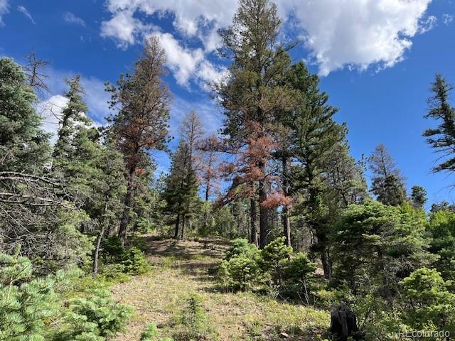 Lot 5757 Balleroy Road San Luis CO 81152