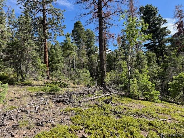 Lot 5757 Balleroy Road San Luis CO 81152