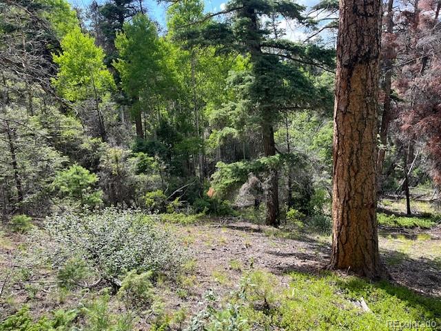 Lot 5757 Balleroy Road San Luis CO 81152