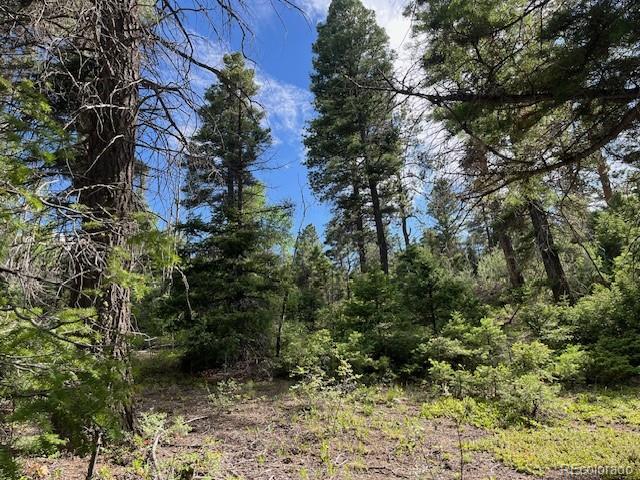 Lot 5757 Balleroy Road San Luis CO 81152