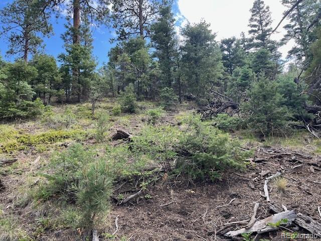 Lot 5757 Balleroy Road San Luis CO 81152