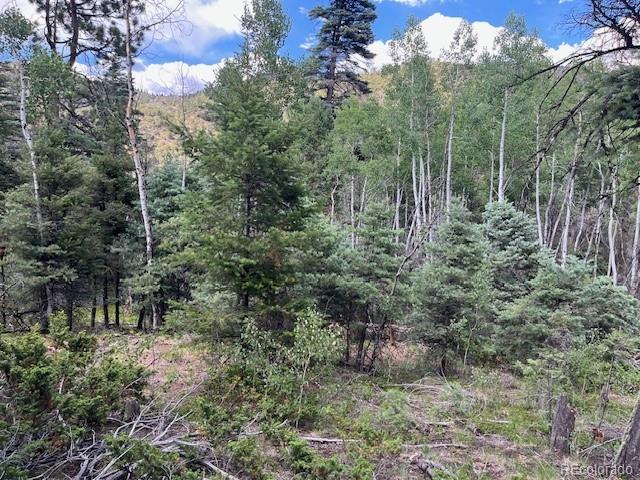 Lot 5757 Balleroy Road San Luis CO 81152