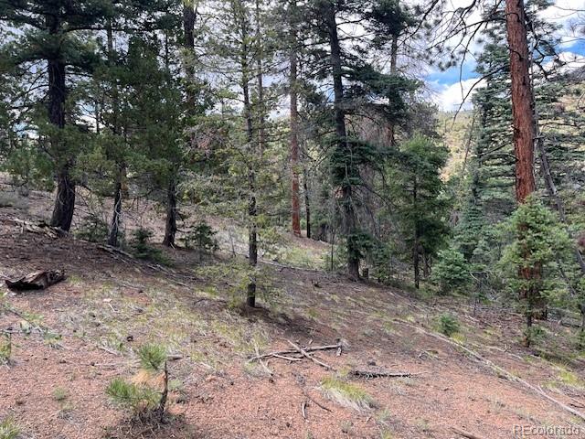 Lot 5757 Balleroy Road San Luis CO 81152