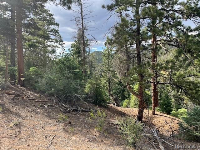 Lot 5757 Balleroy Road San Luis CO 81152