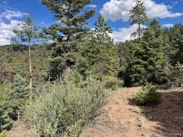 Lot 5757 Balleroy Road San Luis CO 81152