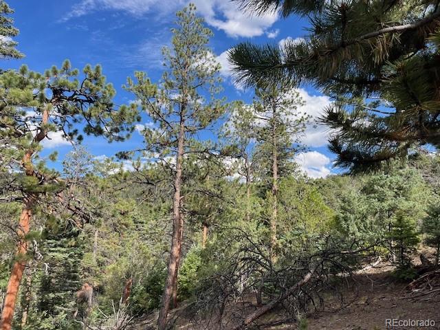 Lot 5757 Balleroy Road San Luis CO 81152