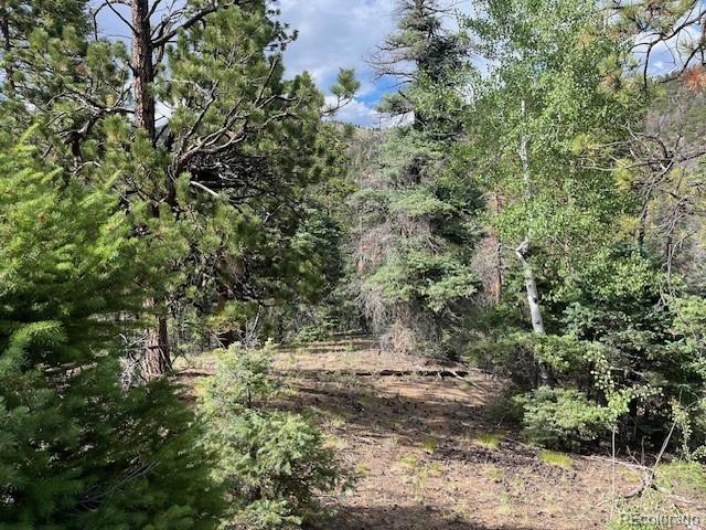 Lot 5757 Balleroy Road San Luis CO 81152