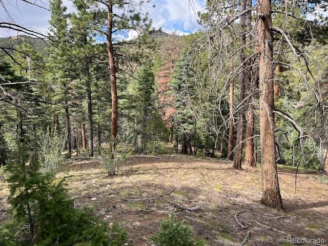 Lot 5757 Balleroy Road San Luis CO 81152