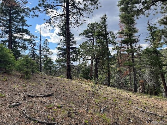 Lot 5757 Balleroy Road San Luis CO 81152